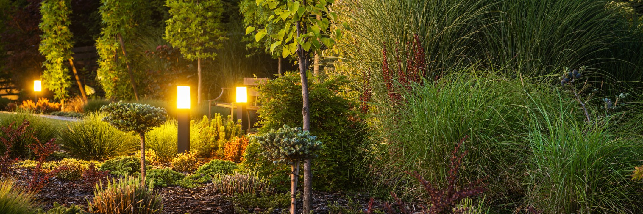 Landscape Lighting