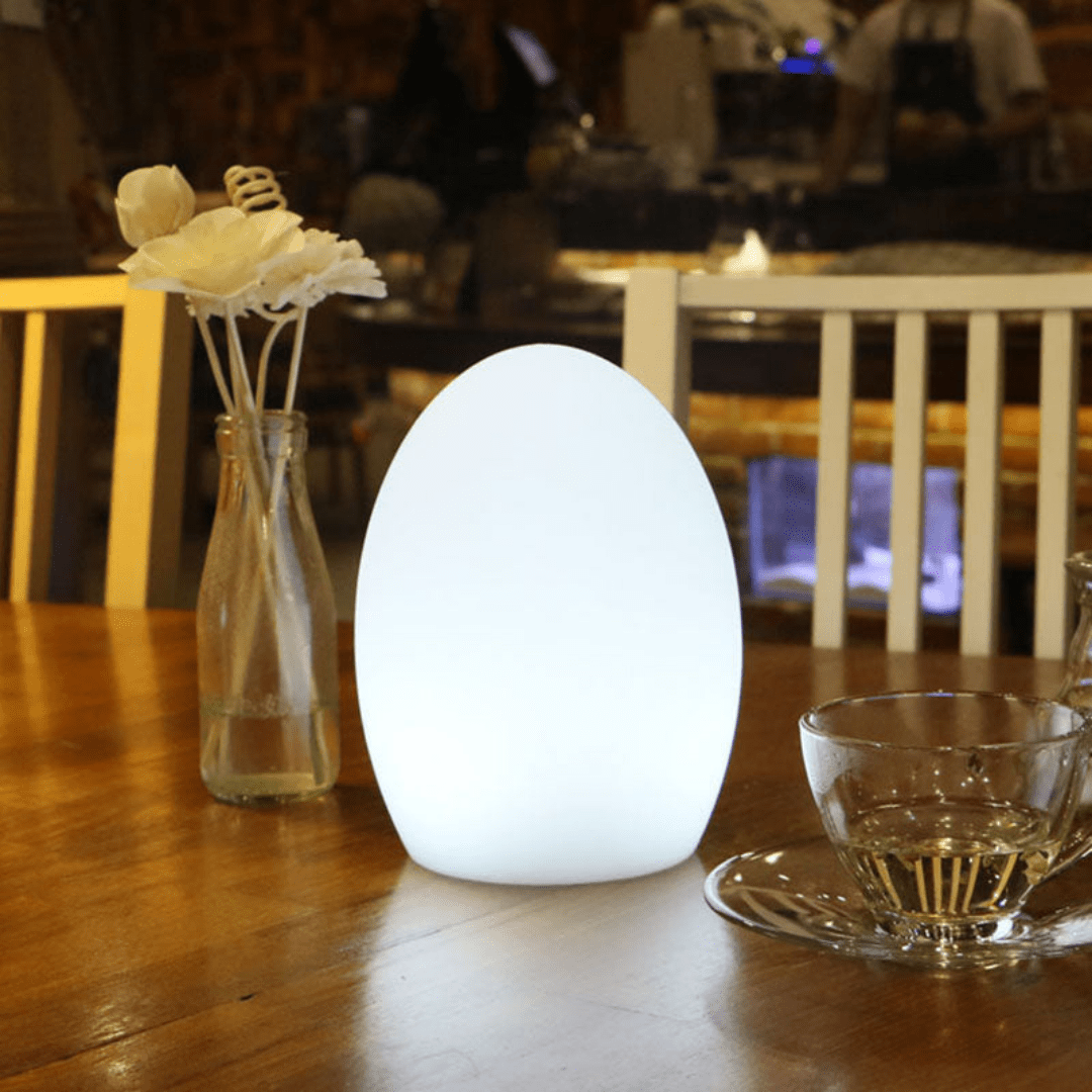 Lexi Lighting Table Lamp Egg Shape Colour Changing Wireless Indoor Outdoor Table Lamp LL0510