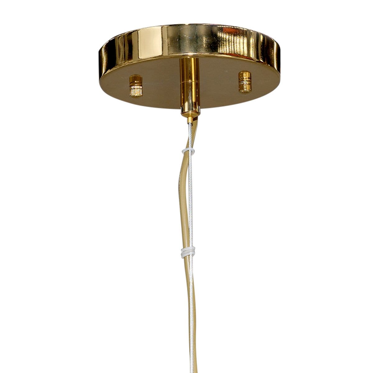 Green Earth Lighting Australia Home & Garden > Lighting Aurelia Brushed Brass 16 Light Pendant 20852