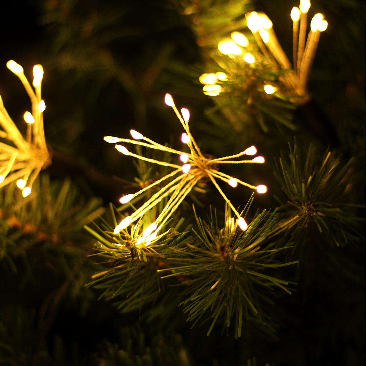 Green Earth Lighting Australia Christmas & Decoration Lights Dark Green Micro LED Flowers String Light Chain - Dark Green/White Cord MIC006G
