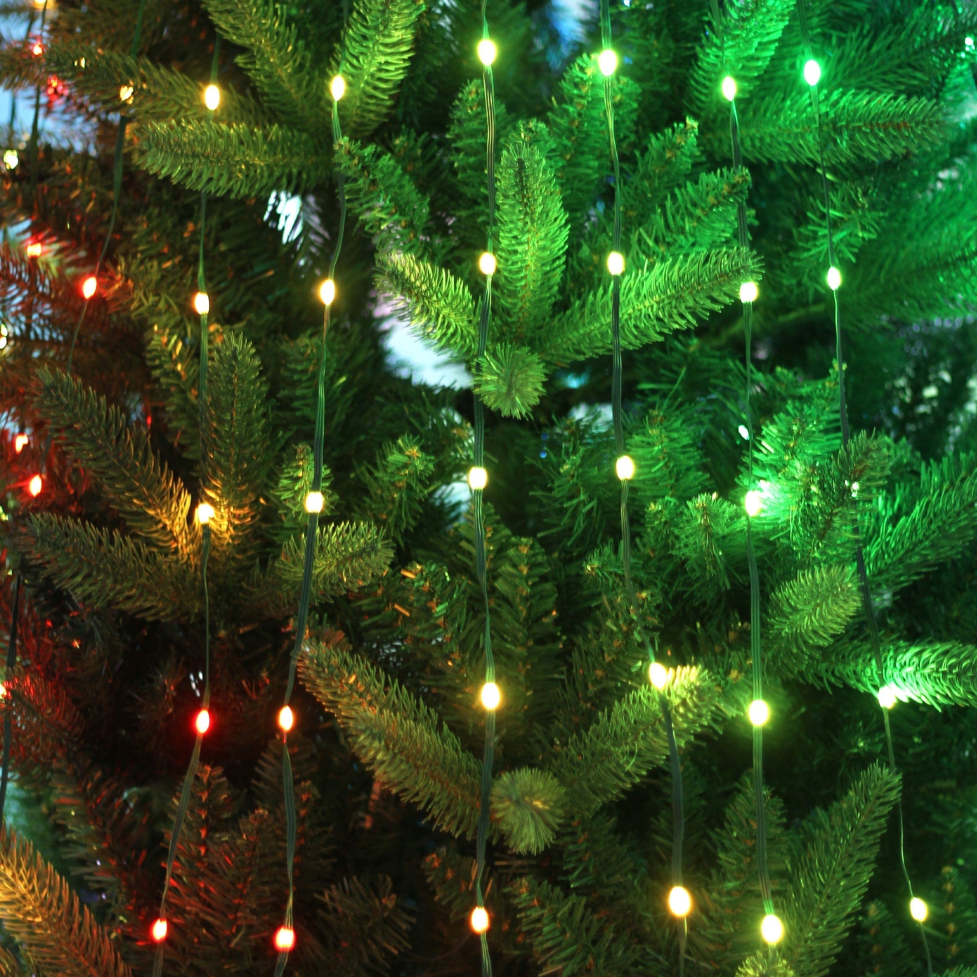 Green Earth Lighting Australia Christmas & Decoration Lights RGB String Light for Christmas Trees