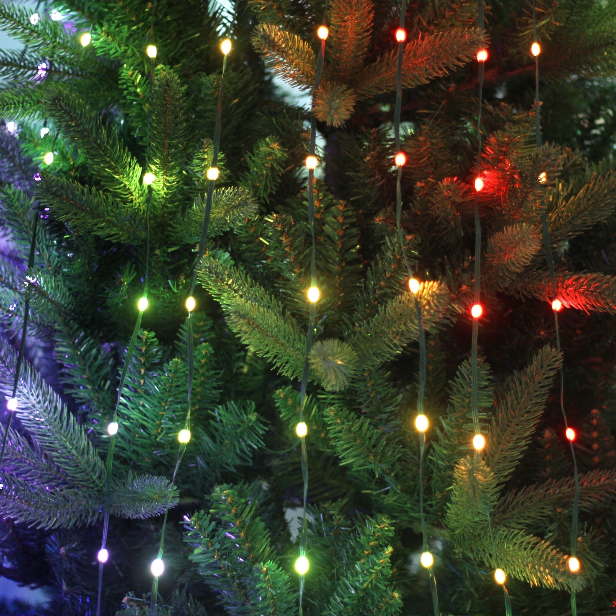 Green Earth Lighting Australia Christmas & Decoration Lights RGB String Light for Christmas Trees