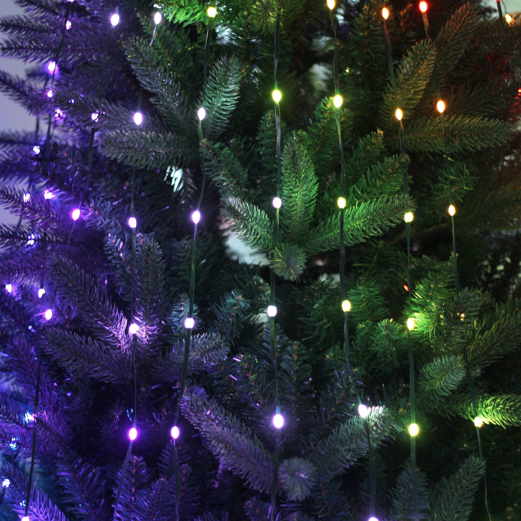 Green Earth Lighting Australia Christmas & Decoration Lights RGB String Light for Christmas Trees