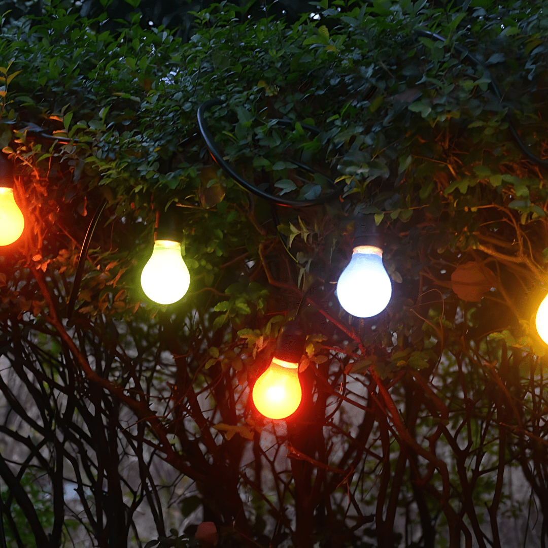 Green Earth Lighting Australia Outdoor 20 meter White IP65 Festoon Kit (Free Globes included) 20MFESKITW