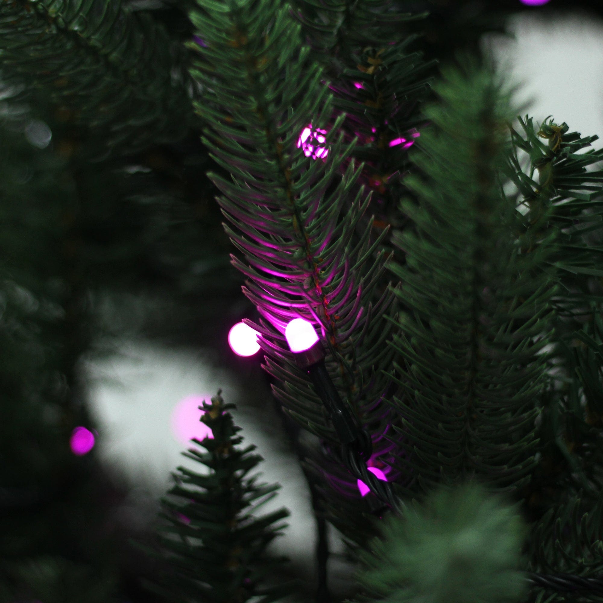 Lexi Lighting String Light White 320 Frosted LED Connectable String Light - 6 Colour Options