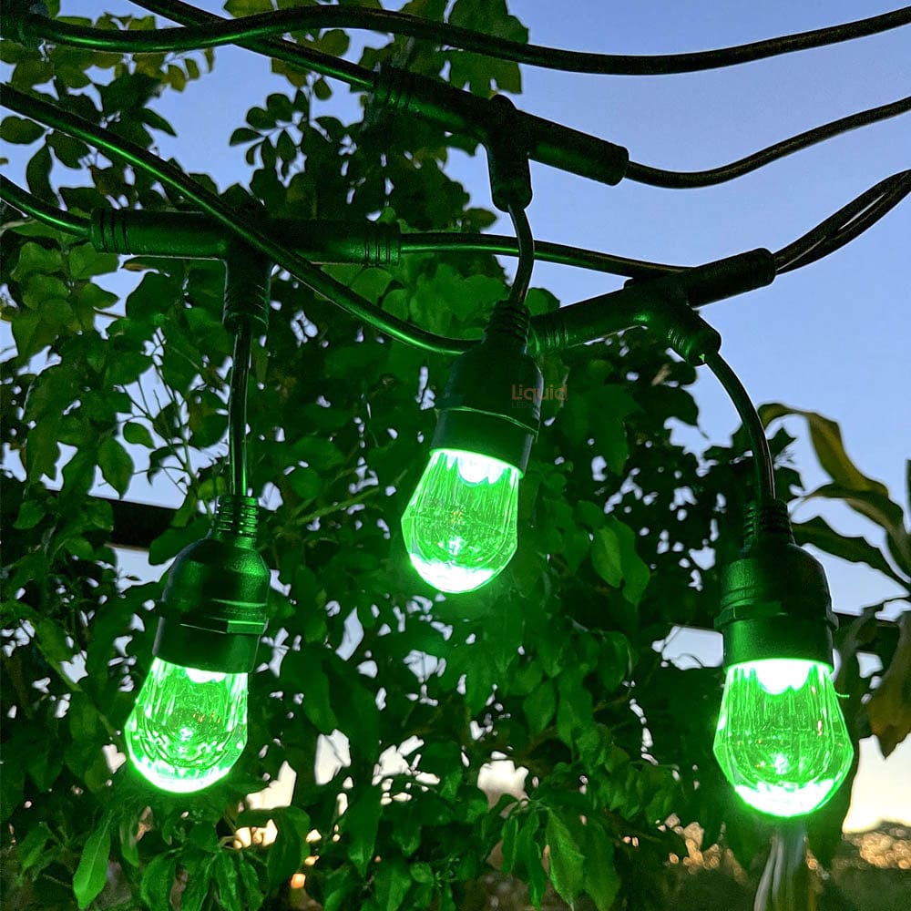 LiquidLEDs Lighting Festoon String 15 meter Smart Festoon String Lights with 15 LED Bulbs BF15B-SMART