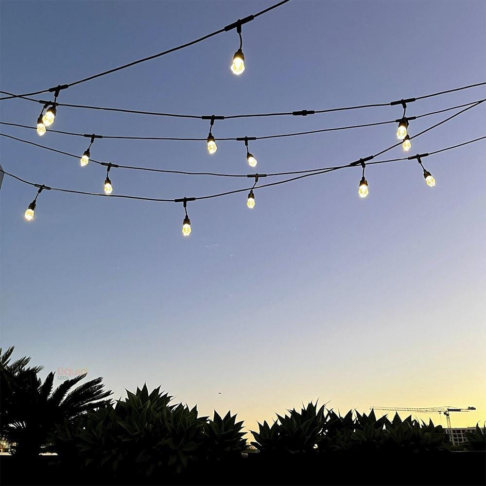 LiquidLEDs Lighting Festoon String 15 meter Smart Festoon String Lights with 15 LED Bulbs BF15B-SMART