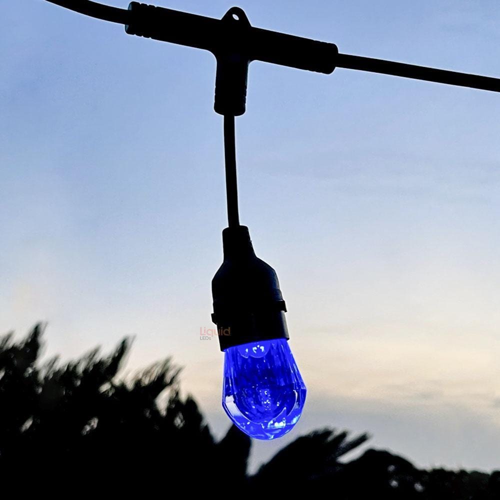 LiquidLEDs Lighting Festoon String 15 meter Smart Festoon String Lights with 15 LED Bulbs BF15B-SMART